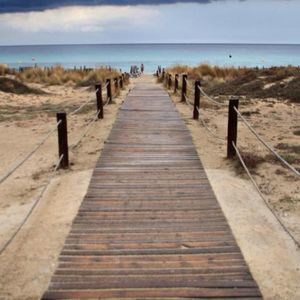 Meet your Posher, Dillon